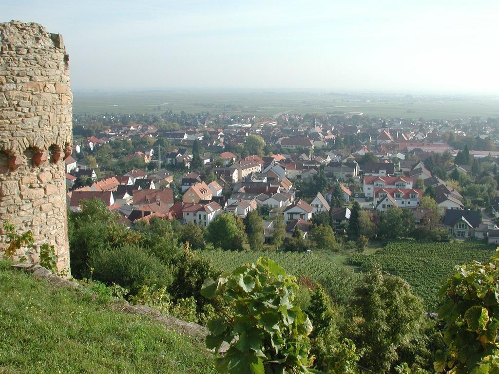 Altstadt-Residenz Manz Wachenheim an der Weinstraße Exteriör bild